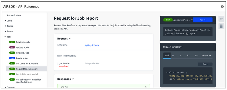 API_Job_Report.png